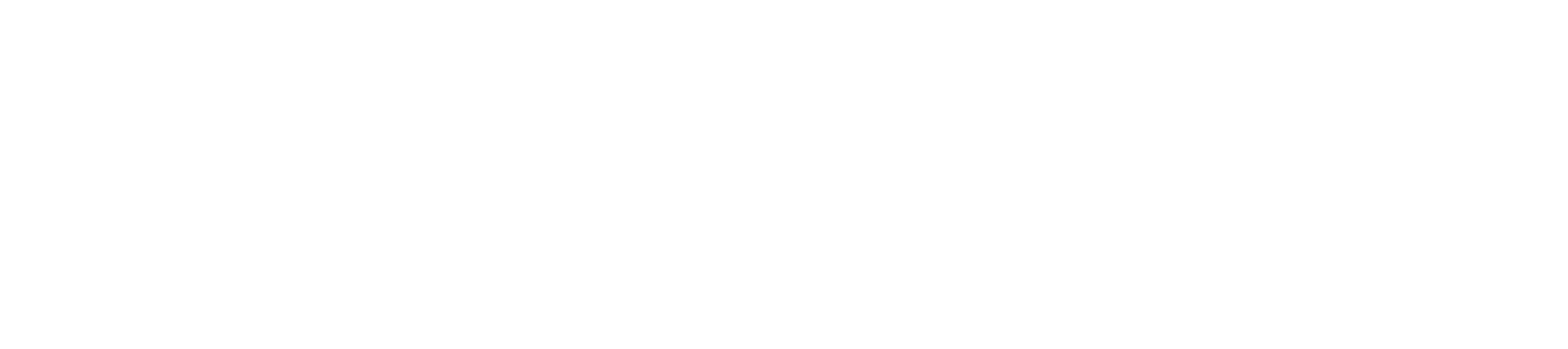 En_co-fundedbytheeu_rgb_white